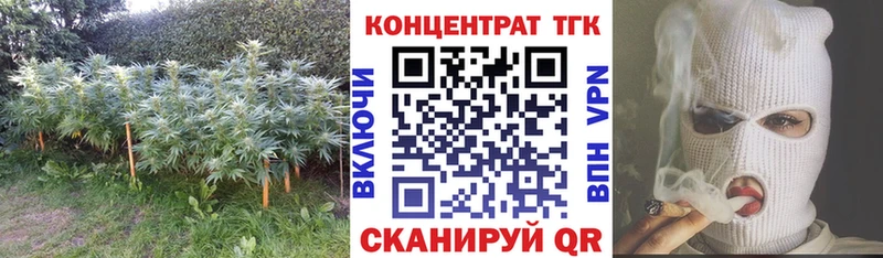 ТГК Wax  Кингисепп 
