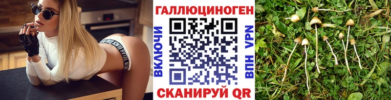 наркота  Кингисепп  Псилоцибиновые грибы ЛСД 