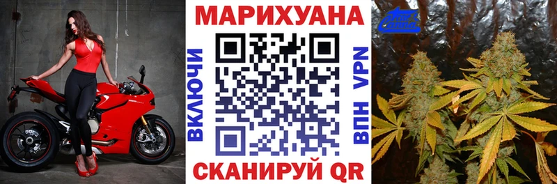 Шишки марихуана THC 21%  купить наркотик  Кингисепп 